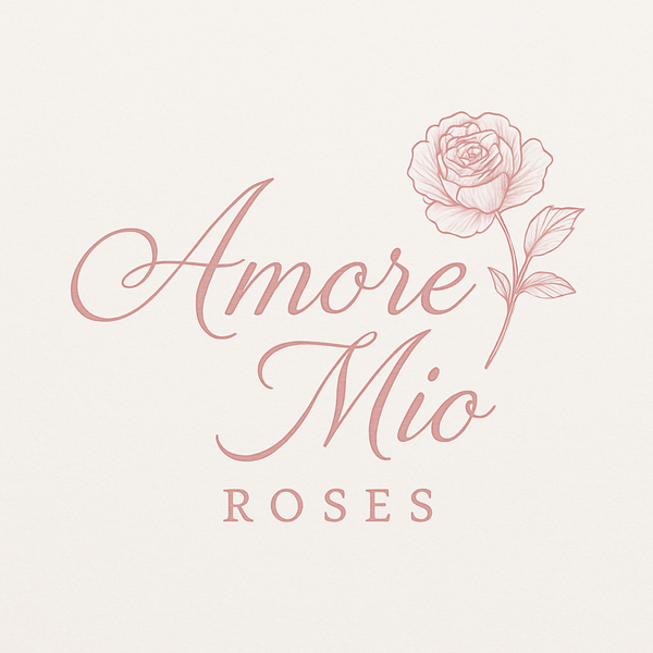 Amore Mio Roses